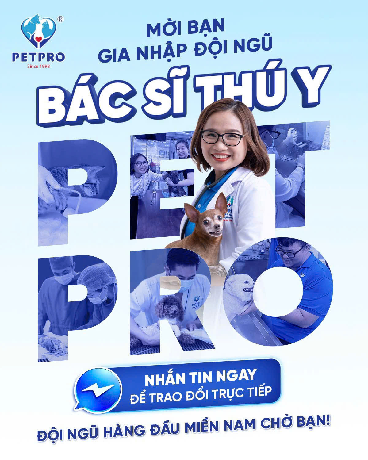 lĩnh vực hoạt động